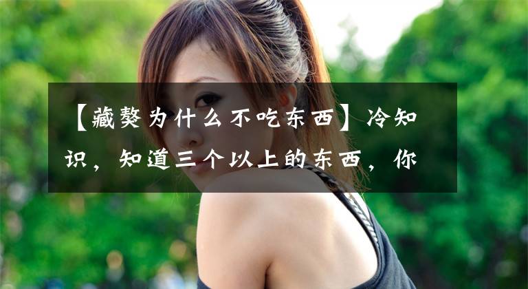 【藏獒为什么不吃东西】冷知识，知道三个以上的东西，你就赢了文章配图