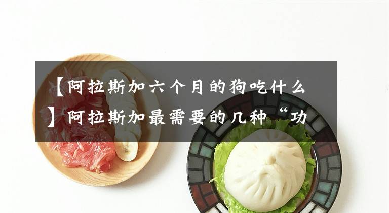 【阿拉斯加六个月的狗吃什么】阿拉斯加最需要的几种“功能性食品”、排毒和肠胃保护。文章配图