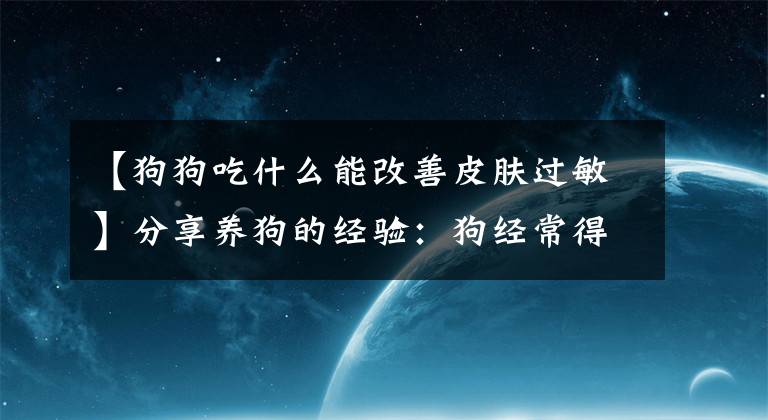 【狗狗吃什么能改善皮肤过敏】分享养狗的经验：狗经常得皮肤病吗？预防比治疗大，快学吧文章配图