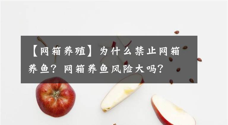 【网箱养殖】为什么禁止网箱养鱼？网箱养鱼风险大吗？