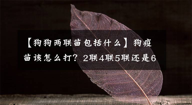 【狗狗两联苗包括什么】狗疫苗该怎么打？2联4联5联还是6联？