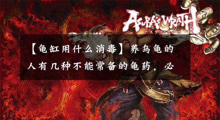 【龟缸用什么消毒】养乌龟的人有几种不能常备的龟药，必要时可以挽救乌龟的生命文章配图