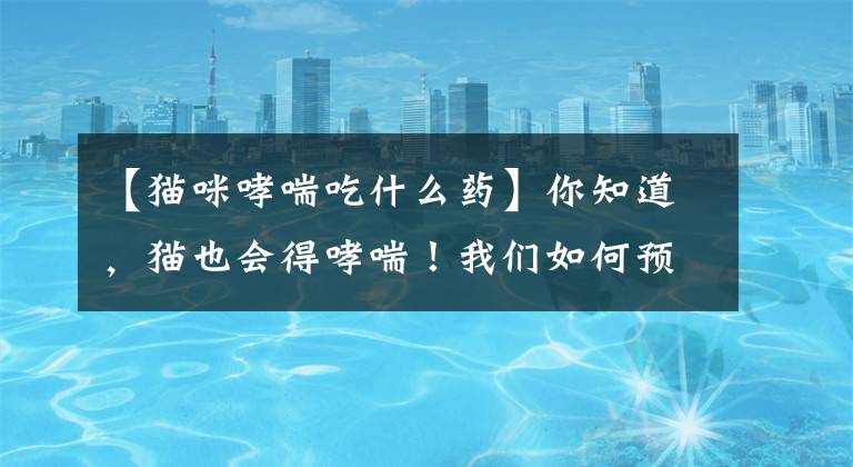 【猫咪哮喘吃什么药】你知道，猫也会得哮喘！我们如何预防和治疗？文章配图