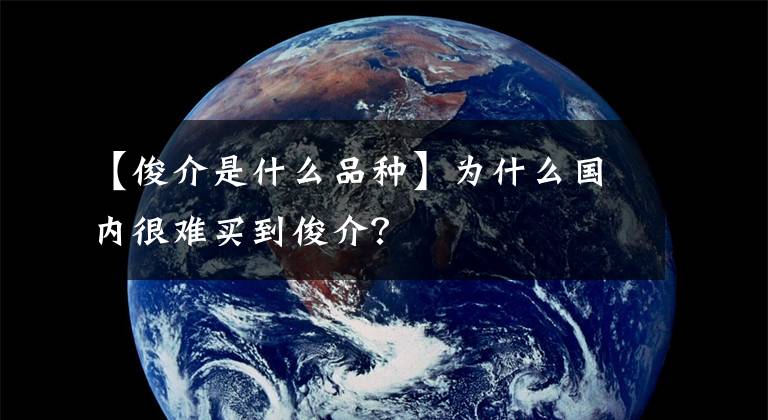 【俊介是什么品种】为什么国内很难买到俊介？