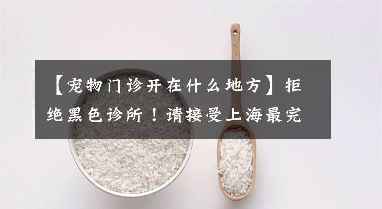 【宠物门诊开在什么地方】拒绝黑色诊所！请接受上海最完美的宠物诊所(医院)名单！文章配图