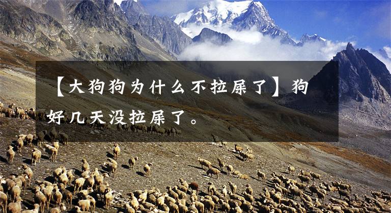 【大狗狗为什么不拉屎了】狗好几天没拉屎了。文章配图