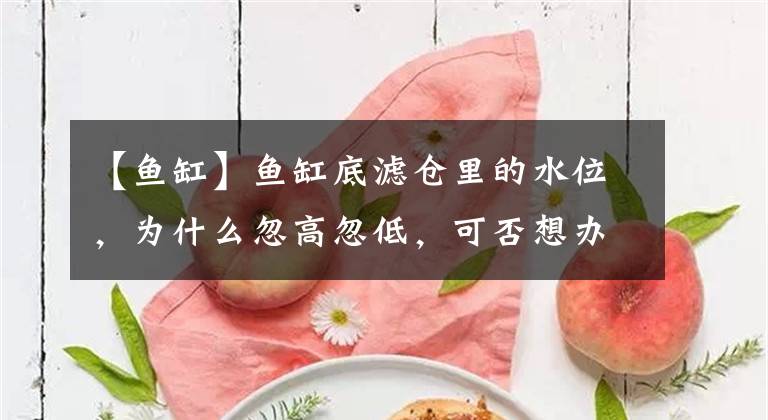 【鱼缸】鱼缸底滤仓里的水位，为什么忽高忽低，可否想办法调节呢？文章配图
