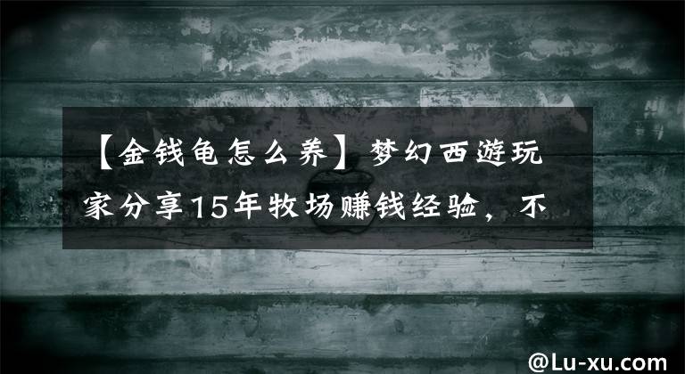 【金钱龟怎么养】梦幻西游玩家分享15年牧场赚钱经验，不能再过错了