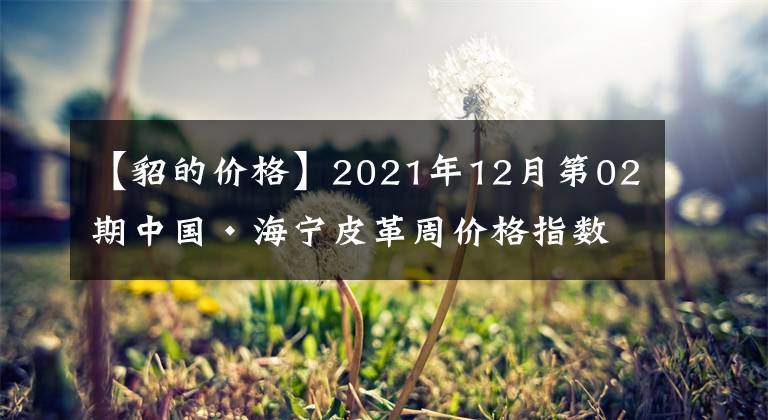 【貂的价格】2021年12月第02期中国•海宁皮革周价格指数盘点