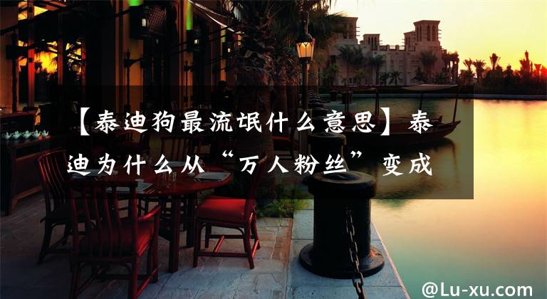 【泰迪狗最流氓什么意思】泰迪为什么从“万人粉丝”变成了“万人仇恨”？网民：这7点太可怕了文章配图
