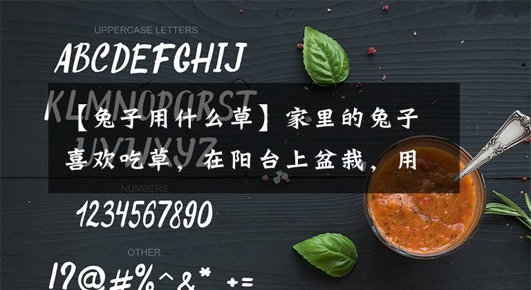 【兔子用什么草】家里的兔子喜欢吃草，在阳台上盆栽，用蚯蚓快速生长文章配图