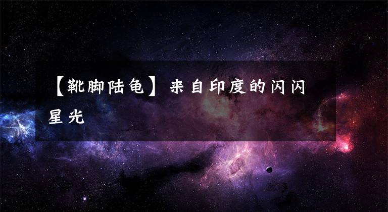 【靴脚陆龟】来自印度的闪闪星光