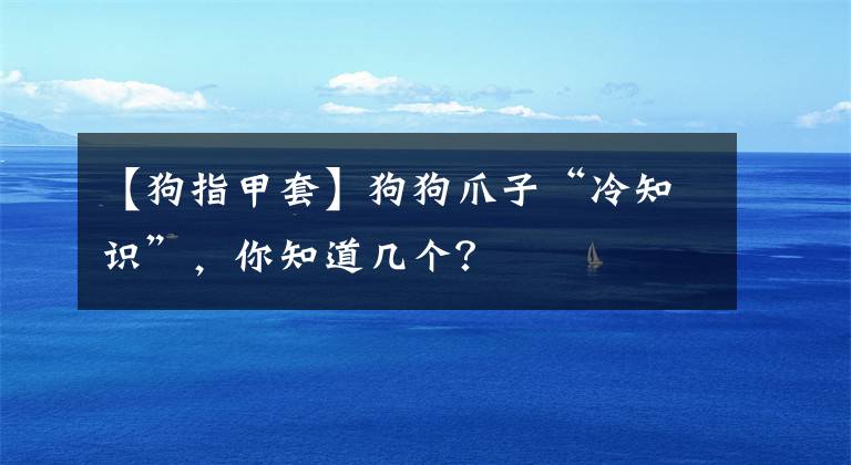 【狗指甲套】狗狗爪子“冷知识”，你知道几个？