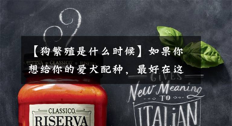 【狗繁殖是什么时候】如果你想给你的爱犬配种，最好在这个时间段。文章配图