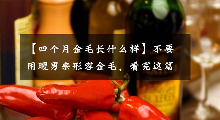【四个月金毛长什么样】不要用暖男来形容金毛，看完这篇文章你会再知道的。文章配图