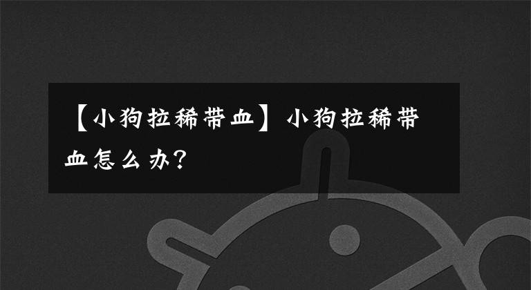 【小狗拉稀带血】小狗拉稀带血怎么办？