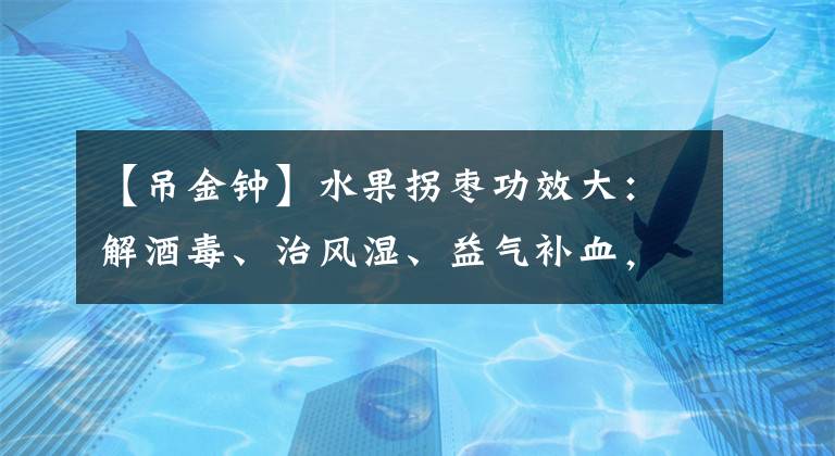 【吊金钟】水果拐枣功效大：解酒毒、治风湿、益气补血，老少皆宜