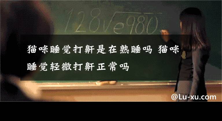 猫咪睡觉打鼾是在熟睡吗 猫咪睡觉轻微打鼾正常吗文章配图