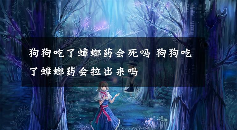 狗狗吃了蟑螂药会死吗 狗狗吃了蟑螂药会拉出来吗文章配图