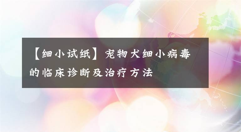 【细小试纸】宠物犬细小病毒的临床诊断及治疗方法