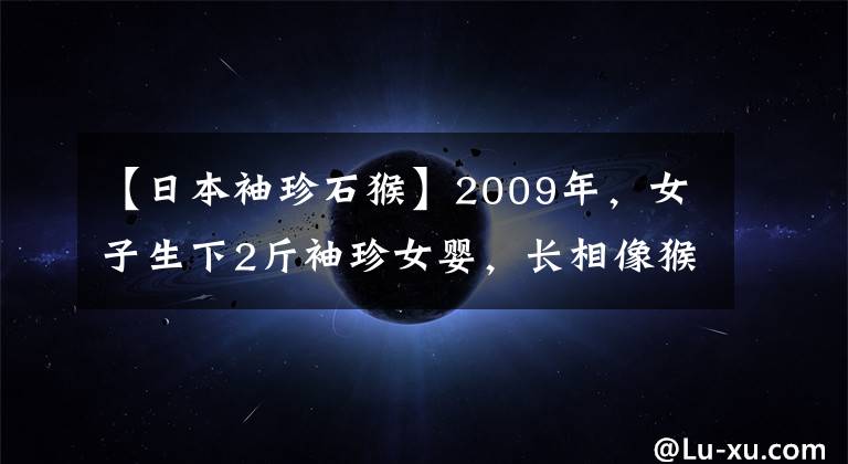 【日本袖珍石猴】2009年，女子生下2斤袖珍女婴，长相像猴子，马戏团高价求购被拒