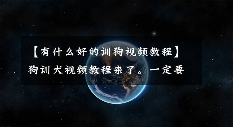 【有什么好的训狗视频教程】狗训犬视频教程来了。一定要有养狗的朋友。333期)