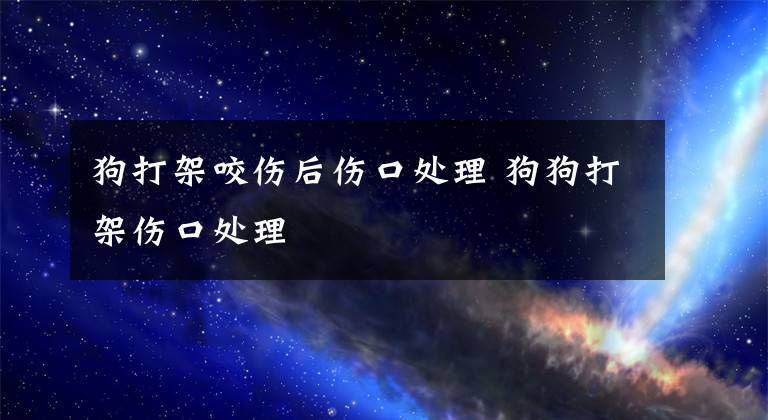 狗打架咬伤后伤口处理 狗狗打架伤口处理文章配图