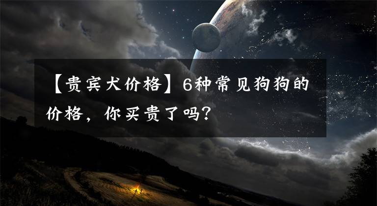 【贵宾犬价格】6种常见狗狗的价格，你买贵了吗？