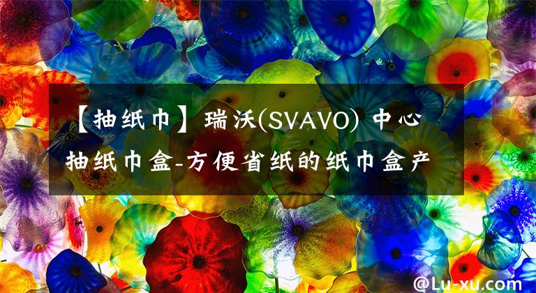 【抽纸巾】瑞沃(SVAVO) 中心抽纸巾盒-方便省纸的纸巾盒产品