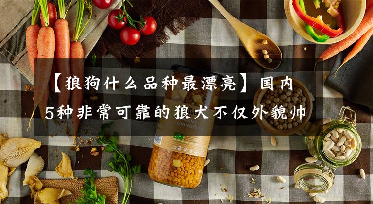 【狼狗什么品种最漂亮】国内5种非常可靠的狼犬不仅外貌帅气，而且有狼的基因文章配图