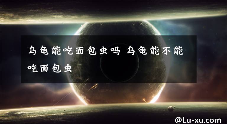 乌龟能吃面包虫吗 乌龟能不能吃面包虫文章配图