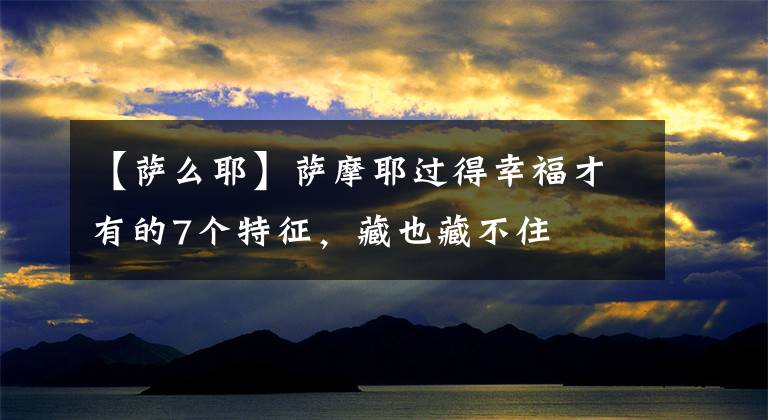 【萨么耶】萨摩耶过得幸福才有的7个特征，藏也藏不住