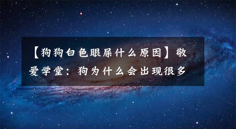 【狗狗白色眼屎什么原因】敬爱学堂：狗为什么会出现很多眼屎，怎么解决？文章配图