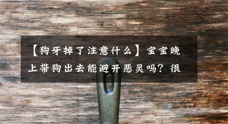 【狗牙掉了注意什么】宝宝晚上带狗出去能避开恶灵吗？很多地方都有这样的话。文章配图