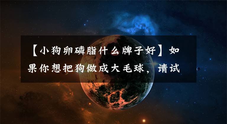 【小狗卵磷脂什么牌子好】如果你想把狗做成大毛球，请试试梅德先生的卵爆毛卵磷脂。文章配图