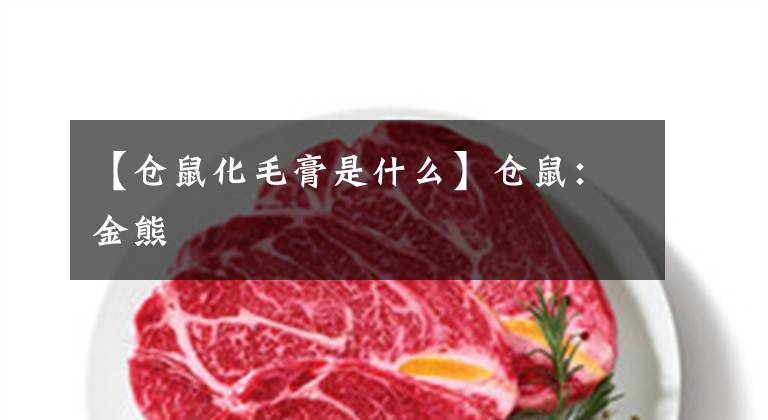 【仓鼠化毛膏是什么】仓鼠：金熊文章配图