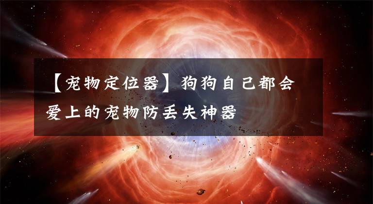 【宠物定位器】狗狗自己都会爱上的宠物防丢失神器