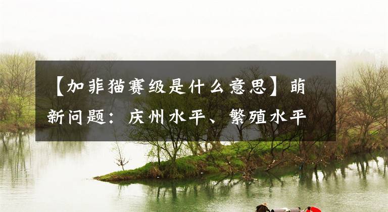 【加菲猫赛级是什么意思】萌新问题：庆州水平、繁殖水平、宠物水平是什么？文章配图