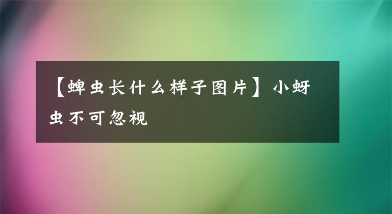 【蜱虫长什么样子图片】小蚜虫不可忽视文章配图