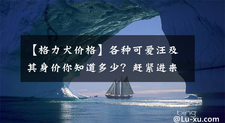 【格力犬价格】各种可爱汪及其身价你知道多少？赶紧进来脑补一下吧~