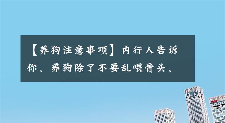 【养狗注意事项】内行人告诉你，养狗除了不要乱喂骨头，还有4点值得注意