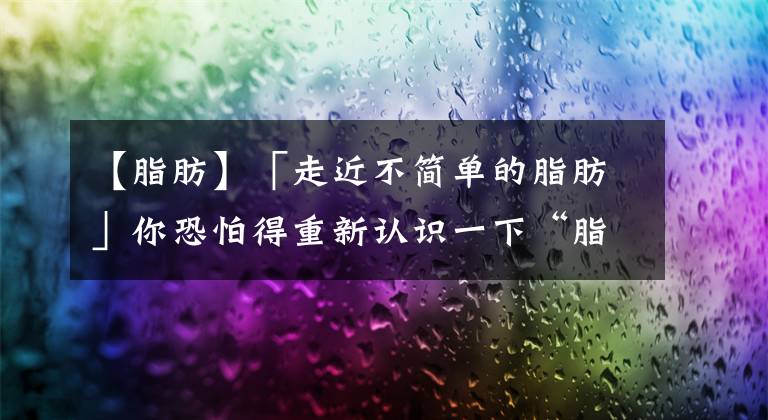 【脂肪】「走近不简单的脂肪」你恐怕得重新认识一下“脂肪”