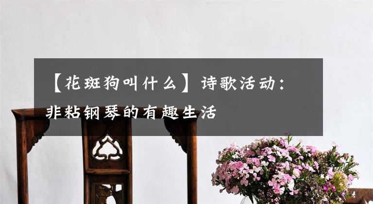 【花斑狗叫什么】诗歌活动：非粘钢琴的有趣生活文章配图