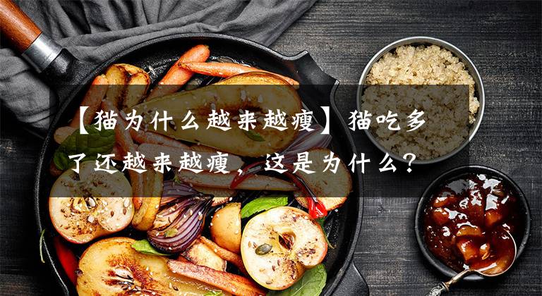 【猫为什么越来越瘦】猫吃多了还越来越瘦，这是为什么？铲屎官要警惕猫吸收不良综合症文章配图