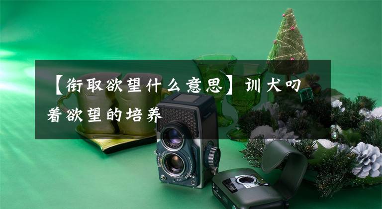 【衔取欲望什么意思】训犬叼着欲望的培养文章配图