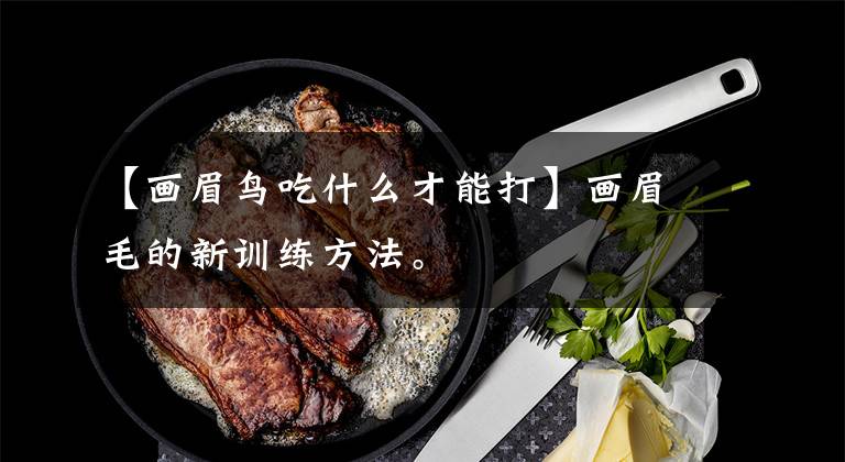 【画眉鸟吃什么才能打】画眉毛的新训练方法。文章配图