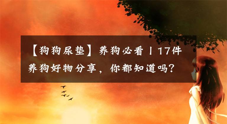 【狗狗尿垫】养狗必看丨17件养狗好物分享，你都知道吗？