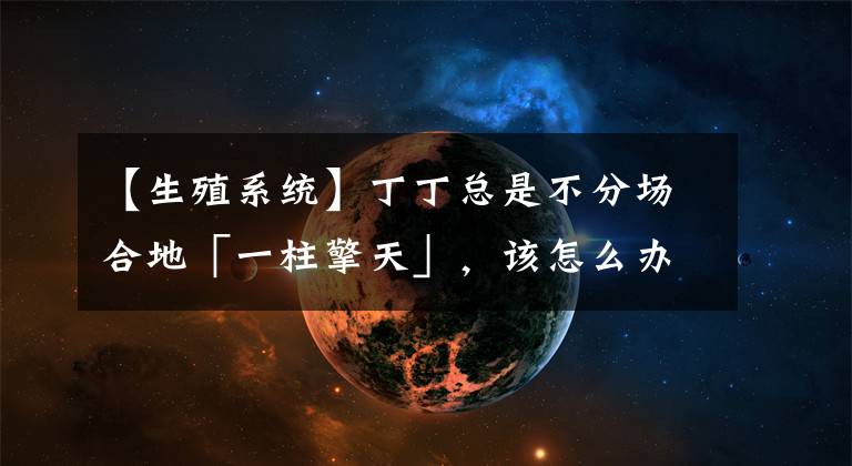 【生殖系统】丁丁总是不分场合地「一柱擎天」，该怎么办？