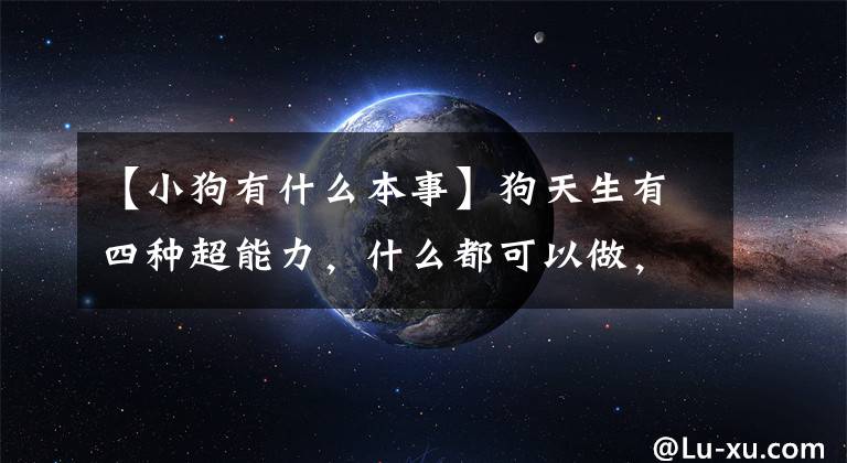 【小狗有什么本事】狗天生有四种超能力，什么都可以做，养得不后悔文章配图