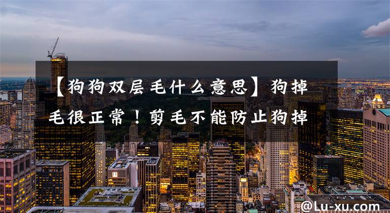 【狗狗双层毛什么意思】狗掉毛很正常！剪毛不能防止狗掉毛，还会加剧狗的毛。文章配图